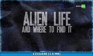 Постер Внеземная жизнь и где ее найти