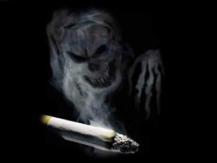 Скриншот 1 Жданов В.Г. - Правда о табаке [2010, DVDRip]