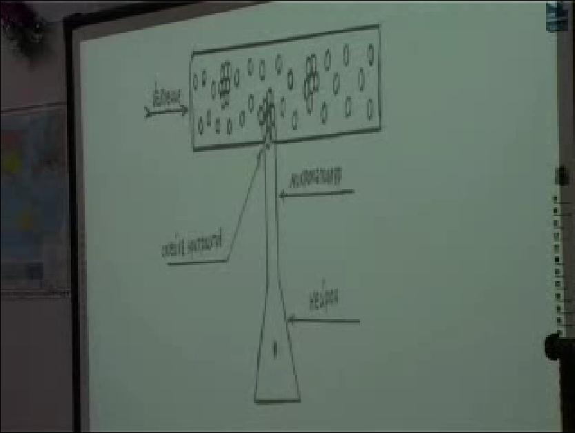Скриншот 1 Буторин, лекция о собриологии